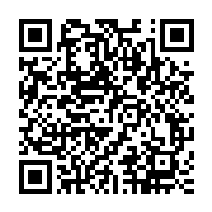 心里忽然想起一件最有可能的事――怕是她阿兄和阿嫂的孩子二维码生成