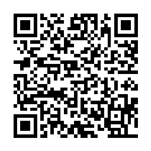 心里暗自的叹了一口气看了一下自己带来的几只小羊羔儿二维码生成