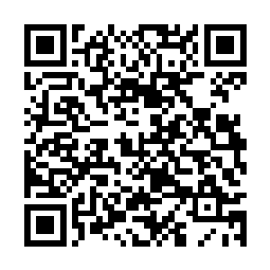 心里顿时就对这位刑警大队大报以十二分的尊敬了二维码生成