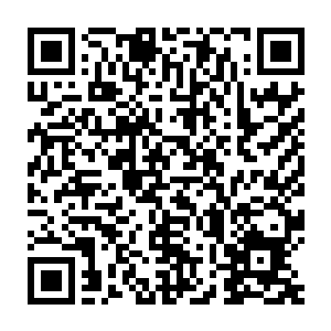 必然也都是实力相当强横的灵兽……又可以占据这一枚人元金丹的二维码生成