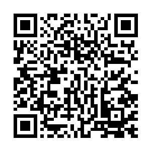 必然全是各种隐藏起来的监视仪器以及先进的防入侵武器二维码生成