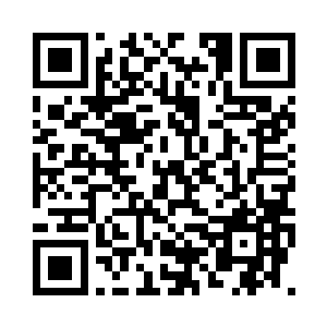 必然是少不了流墨墨和雪如楼的出手二维码生成