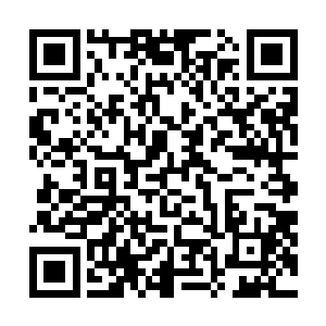 必然是要给她请安的……不过顾锦朝也不会跟他计较这些二维码生成