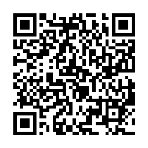 必然还会蛰伏在城里而不会选择在夜晚的时候出城了二维码生成