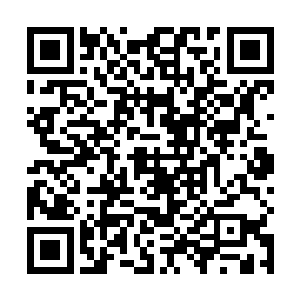 必然需要那些百足之虫死而不僵的高门华族来鼎力相助二维码生成