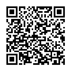 必要的话还得对破碎严重无法缝合的肺组织做局部切除二维码生成