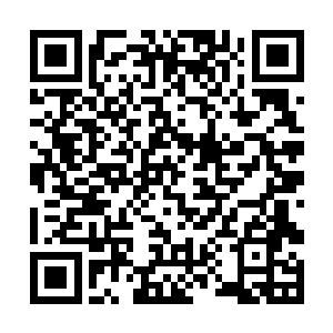 必须等秋收后卖了粮或其它时间赚了钱才能缴清学费二维码生成