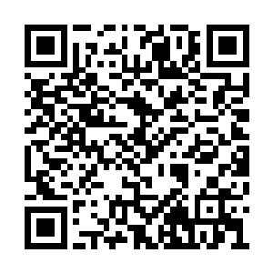 必须要有源源不断的粮食以及保护避难所的力量二维码生成