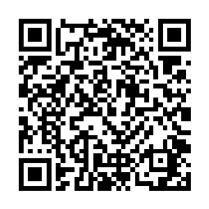 忍不住的怀疑他的智商是不是还有点儿没有恢复完整二维码生成