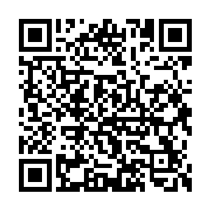 忙传音和站在自己身前不远的一位无极境的长老二维码生成