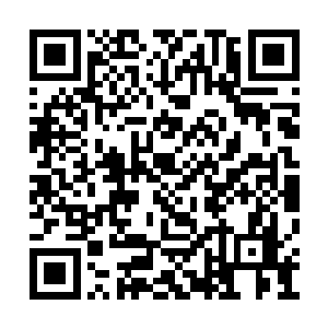 快去把这三个大恶魔身上能用的材料都分割出来二维码生成