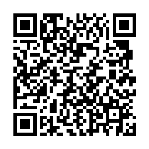 快得他已经没办法再回到原来在人才市场中挤进挤出的生活二维码生成
