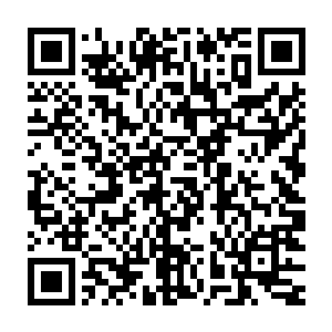 快的大家都有些反应不过来……大家都愣愣的红着眼状似发疯的海公公二维码生成