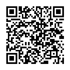 快若闪电的向着前方已经升上高空的五名天空圣师射去二维码生成