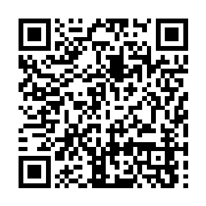 快要睡着的米紫安也慌张的从秦洛的腿上爬了起来二维码生成