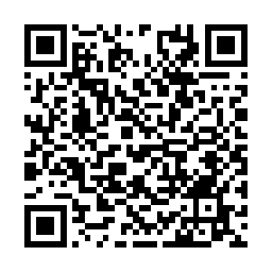 快速的把目光从这些满脸涨得通红的金雕身上挪开二维码生成