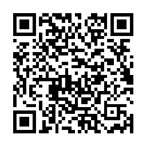 快速的探出手抓着那中年男子的后衣领往自己身前一拉二维码生成