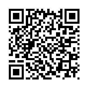 快速的用手挖了一个拳头大小的坑二维码生成