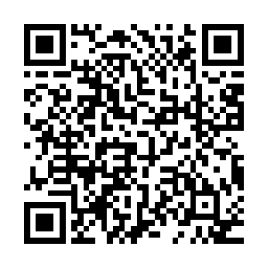 快陪我一起去西跨院吧……姚大学士家的二公子姚文秀来拜访了二维码生成