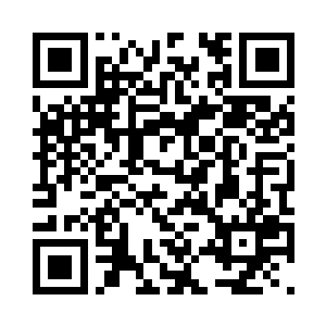 念念抱住她自己的宝贝盒子跟在后面二维码生成