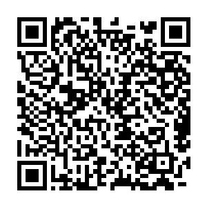 念念现在对白硫亦已经有了好感……虽然太子叔叔说白硫亦没有嫌疑二维码生成