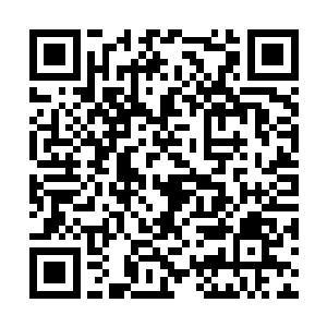 念念终于后知后觉的发现自己好像被白一峰给坑了二维码生成