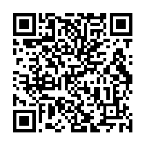 忽听宋莉莉身后围着的十多人里有人惊讶的喊出唐晓楠名字二维码生成