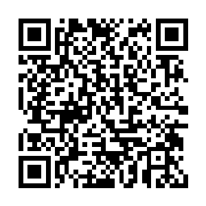 忽然那个领头的老者忽然满脸惊骇的望着龙傲天二维码生成