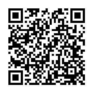 忽然韩珊珊身边正把玩避心灯的肆小仙叫了起来二维码生成