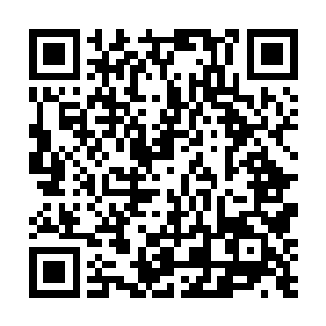 忽见鲁美美和马桥这对师兄妹也占着一个位置在发食物二维码生成