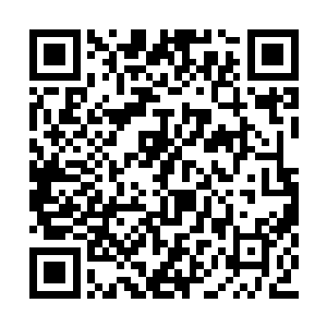 怀着一颗七上八下的心情站在下方焦急的等待着二维码生成