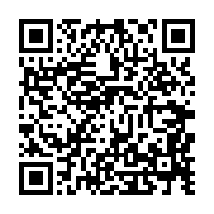 怀远堂中的三个长老就在张家庄园后面的一座楼亭之中二维码生成