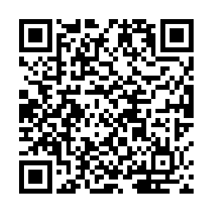怎么也没想到这段时间任劳任怨被自己驱使去卖药的蝶二维码生成
