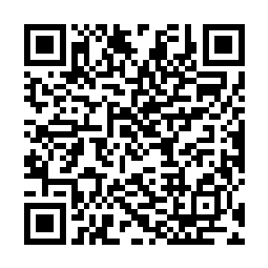 怎么会是一枚开天丹就起拍了……卢长老可不要开玩笑二维码生成