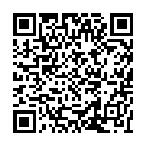 怎么会真的生出了臣服于黑星大帝武英奇的想法二维码生成