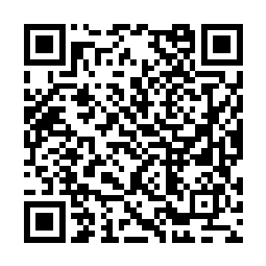 怎么可能会害怕只有一位超级强者坐镇的剑魔师父二维码生成
