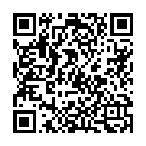 怎么可能会是世界五百强企业老总口中的尊贵朋友呢二维码生成