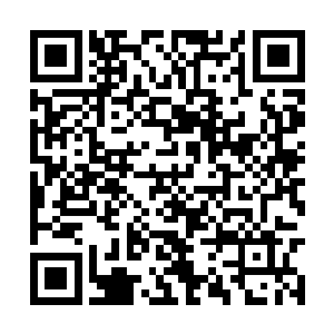 怎么可能和传说中的齐王城三城主夏天相提并论呢二维码生成