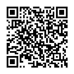 怎么在夫人的嘴里说出来就和水煮白菜一样简单二维码生成