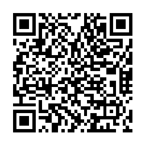 怎么市里主要领导会直接过问起了仙桃村这点小小的事二维码生成