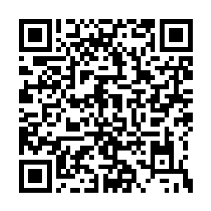 怎么我坐在这儿打牌你在屁股后面给我端茶倒水二维码生成