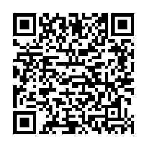 怎么没有得到任何情报袭家的二小姐竟然会在这个山脉里二维码生成