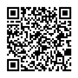 怎么看着都好象是真的没有把这一千多万美元的事情二维码生成