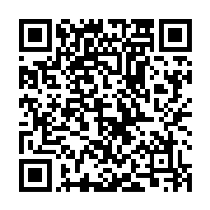 怎么看都要比一个利用外物才能突破的废物重要得多吧二维码生成