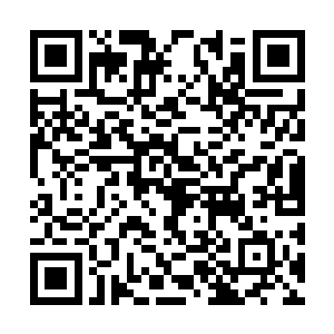 怎么看都让人觉得这有点儿是带着情人出游的味道二维码生成
