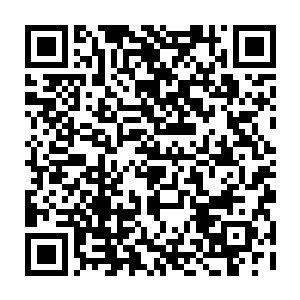 怎么连你们省的大企业家远大建设集团公司的董事长陈振东陈总都不认识啊二维码生成