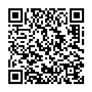 怎么都想不通那张照片上的女人怎么可能会是林琳呢二维码生成