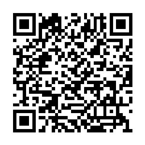 怎能就因为这么一张三生图便让其碾压直至崩碎二维码生成