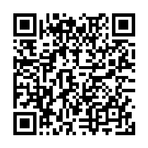 怒哼的秦逆流随手拨开被洞察之魄反弹回来的拳风二维码生成