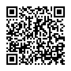 怔楞看着手腕处奶奶下午给我系上的那带着铜钱的红绳二维码生成